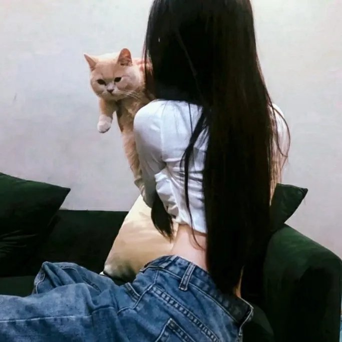 四维超正方体