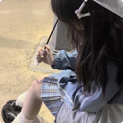 我私人的爱达荷